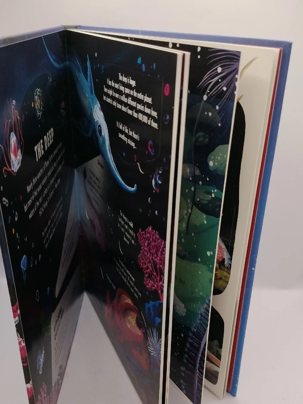 Extreme Planet: The Deep A Lift A Flap Book About Ocean Creatures NEW